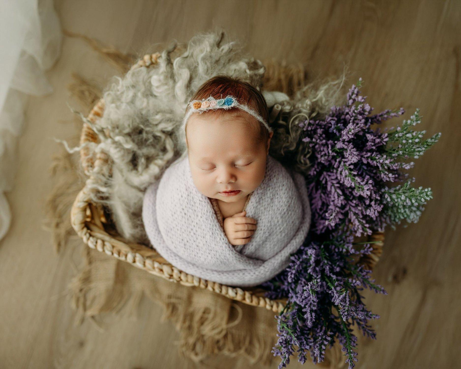 carousel-hero-element image-11